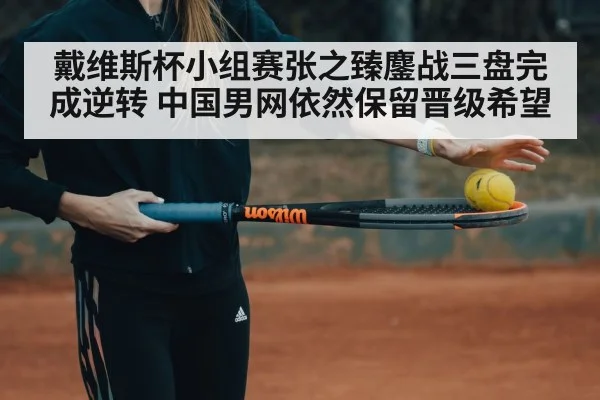 戴维斯杯小组赛张之臻鏖战三盘完成逆转 中国男网依然保留晋级希望