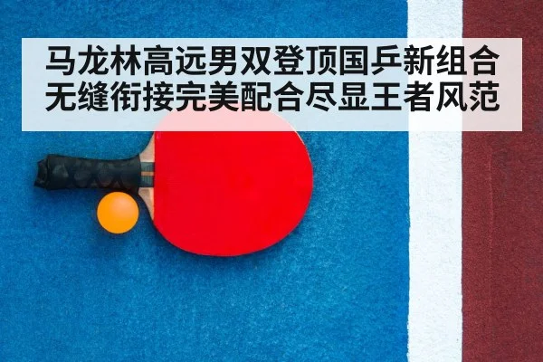 马龙林高远男双登顶国乒新组合无缝衔接完美配合尽显王者风范